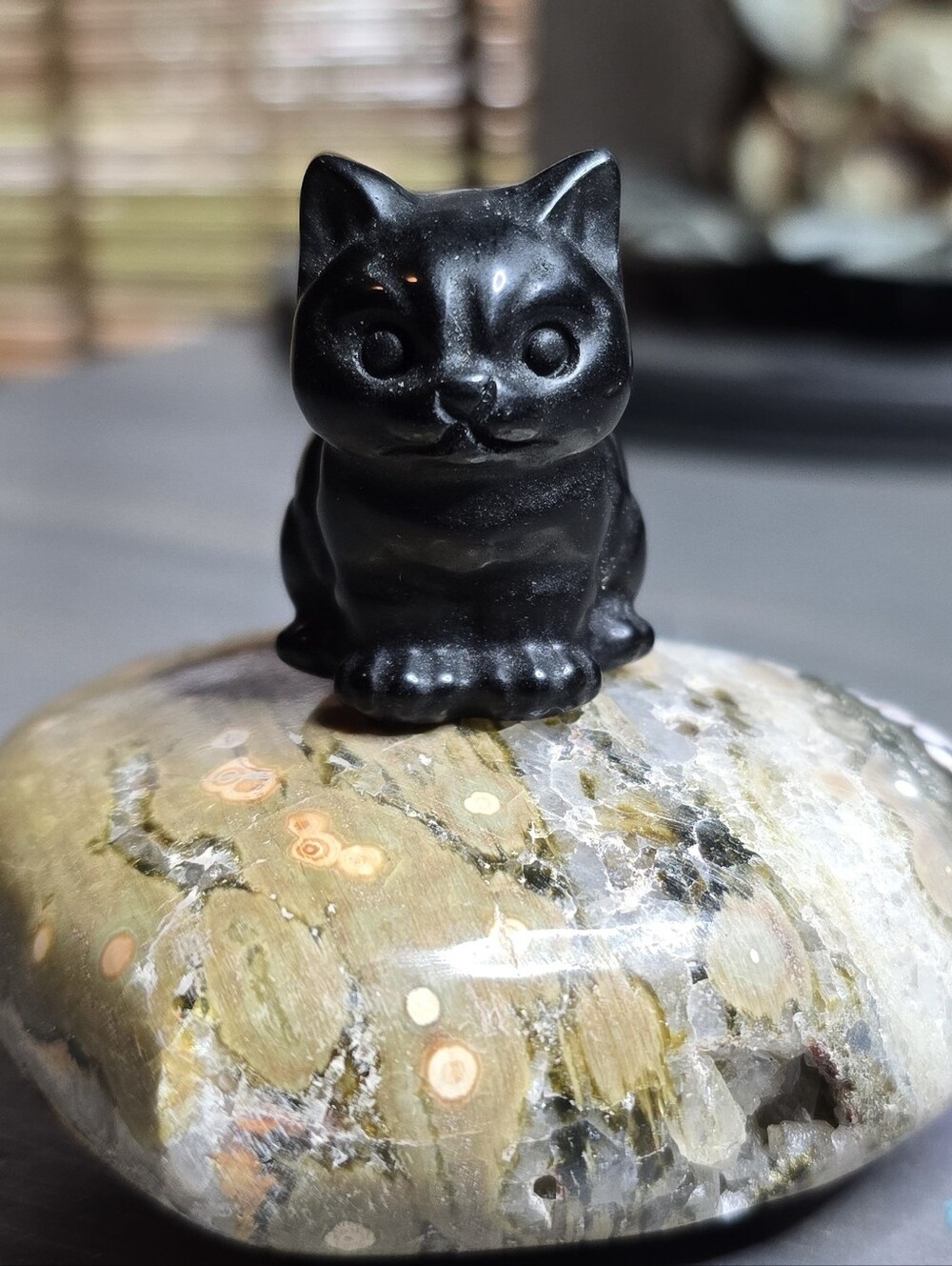 Onyx Cat